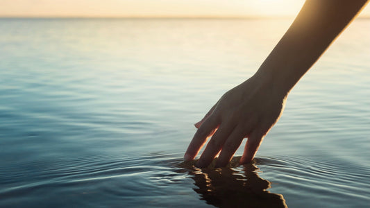 WHY YOU'RE NOT FORSAKEN