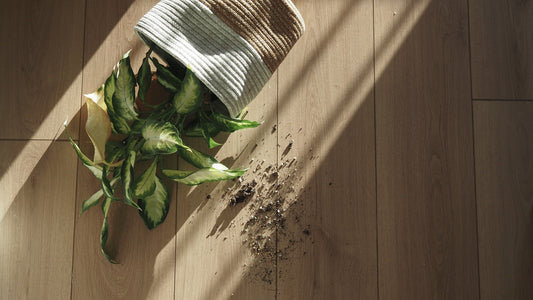 SHAME, EASE, AND LEARNING TO EXHALE